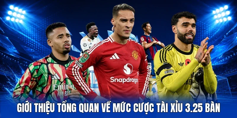 Giới thiệu tổng quan về mức cược tài xỉu 3.25 bàn